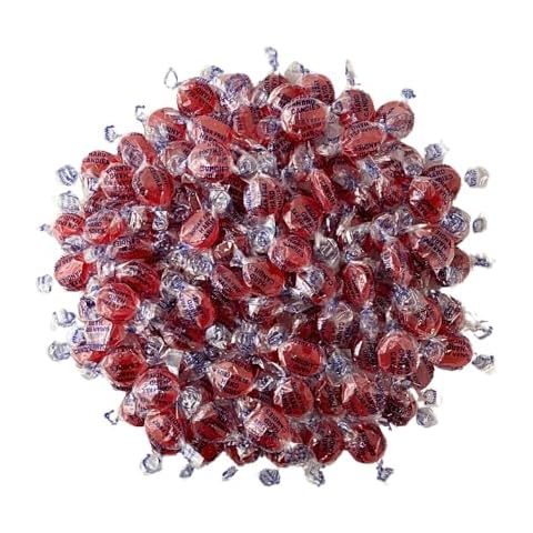 Sugar Free Fiery Cinnamon Hard Candy Discs -1 lb Bag Individually Wrapped Keto And Diabetic Friendly Cinnamon Flavored Gourmet Candies (16oz) Cover