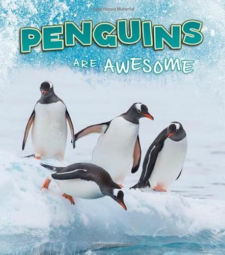 Polar Animals Penguins Are Awesome