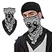 KINGREE Balaclava Ski Mask, Motorcycle Helmets Liner Neck Gaiter, Quick-Dry Half Masks