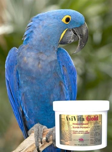 avitech bird supplies