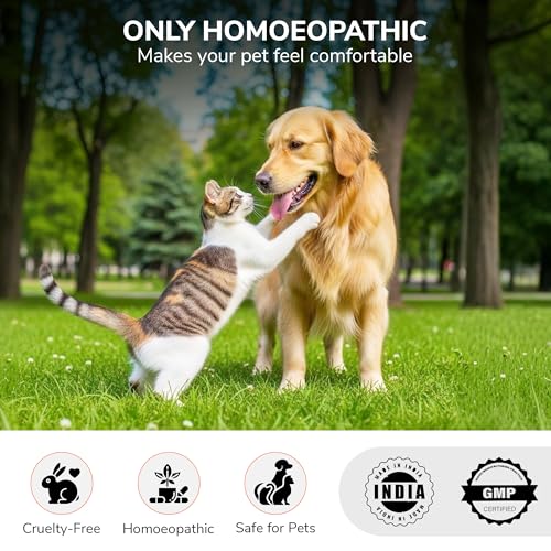 Image of Bakson Veterinary Creatinine Aid Drops for Pets | Natural Homoeopathic Renal Support | Helps Maintain Creatinine Levels & Kidney Function | Gentle, Non-Toxic & Safe Long-Term Care - 30ML