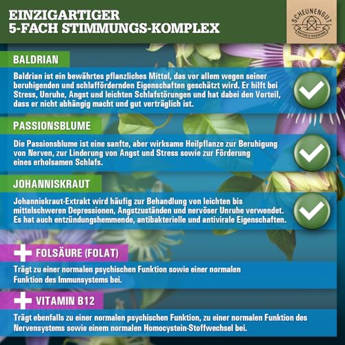 INNERE BALANCE® Passionsblume Johanniskraut Baldrian Hochdosiert -WICHTIG: Laborgeprüfter Markenkomplex mit Hypericin, Hyperforin, Folsäure +Vitamin B12 120 Kapseln DE SCHEUNENGUT®