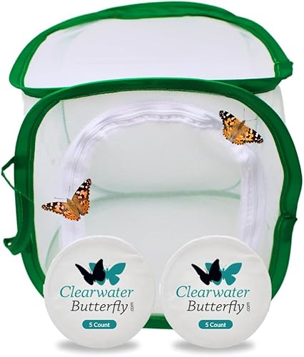 Miniatura 1 de Clearwater Butterfly - Mariposas pintadas en vivo, kit de cultivo de mariposas con orugas vivas, jaula de malla incluida, hábitat de mariposas, 10