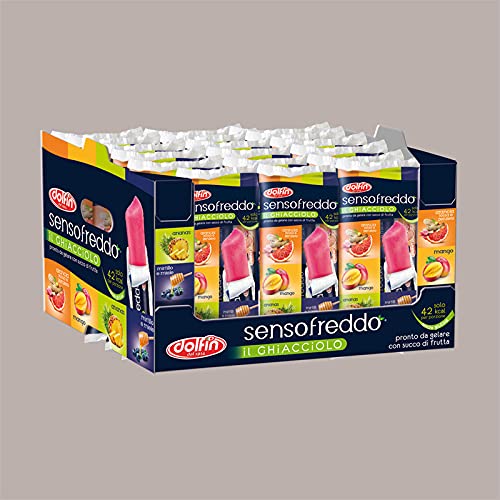 Lucgel Srl 5x10 pz Ghiacciolo con Succo di Frutta SENSO FREDDO da 420 ml DOLFIN Pronto da Gelare - Image 4