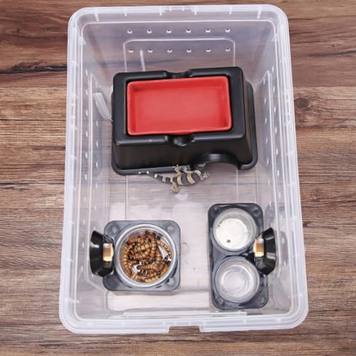 JVHLOV 2PCS Reptile Feeder, Reptilien Futternapf Saugnapf Plastik Wasser- und Futternapf, Anti-Flucht Eidechsen Futterschale, für Eidechse, Chamäleon, Skorpion, Gecko, Leguan