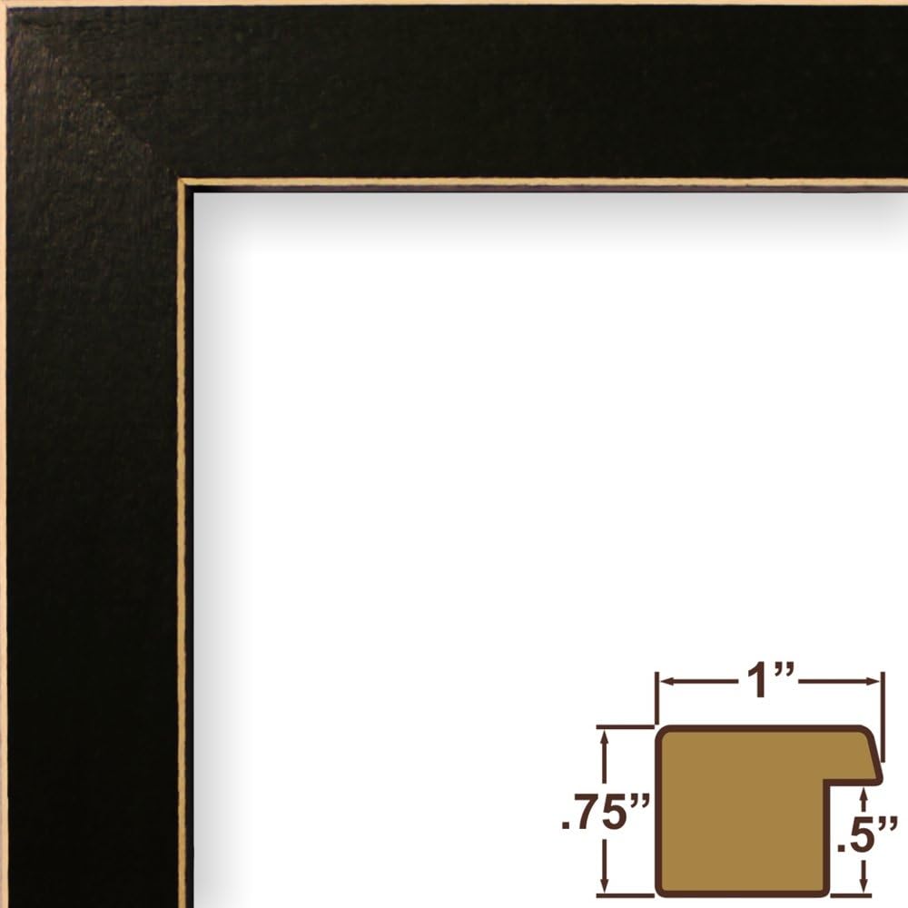 Craig Frames 286BK 24 by 24-Inch Picture Frame, Wood Grain Finish, 1-Inch Wide, Black