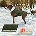 EMUST Winterhundejacke, kuschelige winddichte Hundejacke für kaltes Wetter, einfarbig, für mittelgroße Hunde, Grün, M