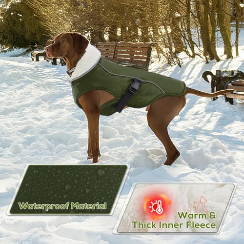 EMUST Winterhundemantel, wasserdicht, Verstellbarer Hundemantel, für kleine/mittlere bis große Hunde, für den Winter, Grün, L