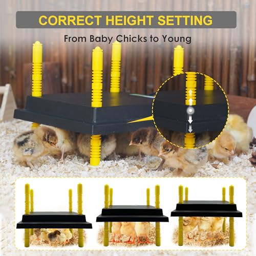 Eggluuz Chick Brooder Heating Plate, 10" x 10" Brooder Heater for Chicks with Adjustable Heights