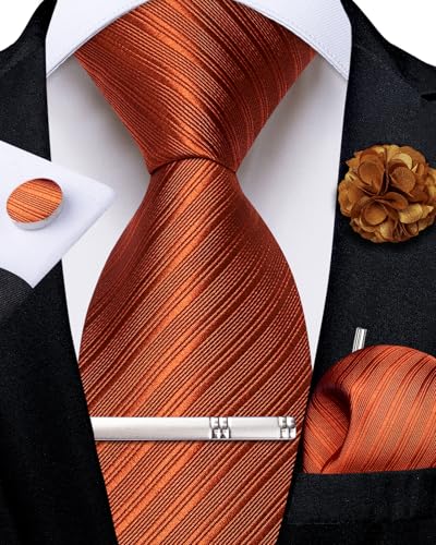 Image of DiBanGu Silk Zipper Ties for Men, Formal Pre-tied Necktie | Adjustable Tie,6PCS,Various Design Styles,Jacquard Woven,Skin-friendly,Practical Gift,Great for Wedding Party,Business Formal