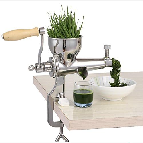 ZHJ Stainless steel manual wheatgrass juicer healthy wheat grass juice extractor
