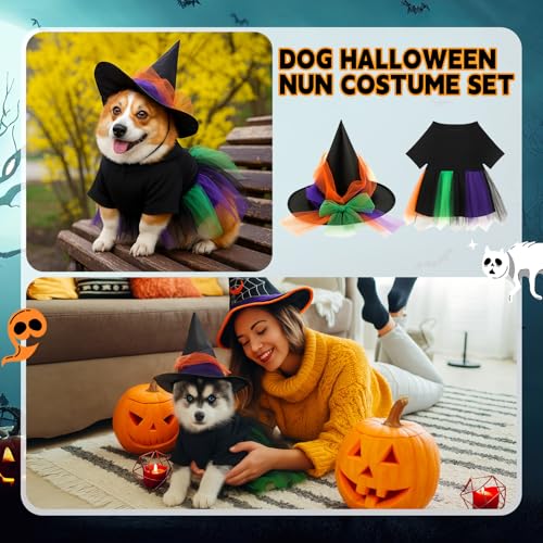 Disfraz Halloween con tutú y sombrero para mascotas pequeñas miniatura 7