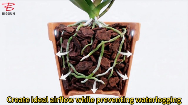 ハクアリード Amazon.com : 4qt New Zealand Orchid Bark, 1/2-3/4in Sun-Dried