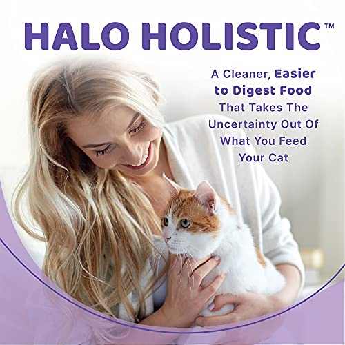 Halo Indoor Wet Cat Food, Grain Free, Chicken & Beef 5.5Oz Can (Pack Of 12) #TOP2