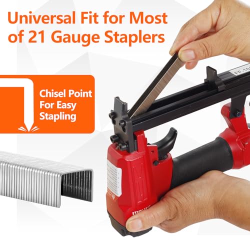 Sitldy SD0516 1/2 Inch Crown 21 Gauge Stainless Steel 304 Staples 1940-Count 3 Sizes thumb #3