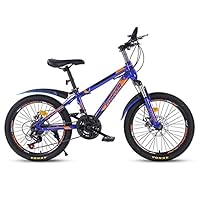子供 自転車 20インチ GRAPHIS（自転車） 子供用自転車 20インチ 【3日間限定クーポン
