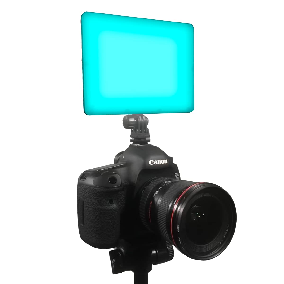 DracastX Series LED240 RGBWW On Camera LED Video Light | App Control | Dimmable 0-100% | CRI & TLCI 96+ | NP-F Battery Plate