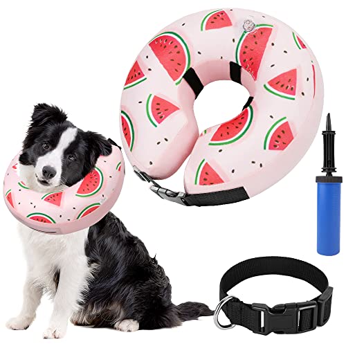 pets inflatable dog collar