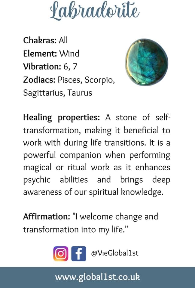 VIE Crystal Intention Wristlet