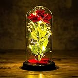 🌹【Nuevo Diseno De Estilo】Instalación única y hermosa con una rosa gigante realista en una cúpula de vidrio con pequeñas luces led. El cordón de LED, está hecho con un cable de cobre flexible de primera calidad que crea la forma que deseas y agrega un hermoso acento decorativo.Alimentada por 3 pilas AAA (no incluidas), no hay cables de los que preocuparse.