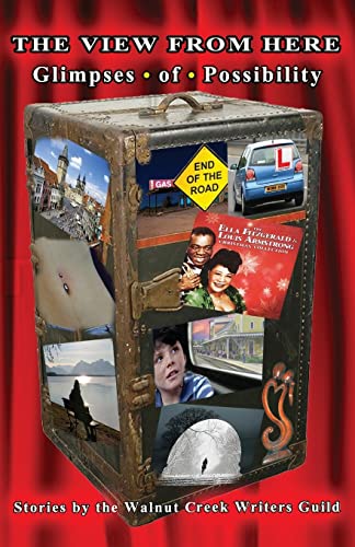 The View From Here 1500511196 Book Cover