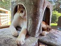 Review Image by Erica Hodgson Erica Hodgson