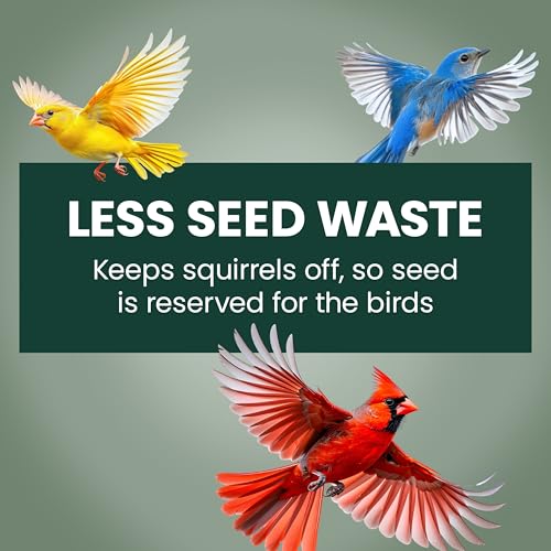 Perky-Pet 336-1SR Squirrel-Be-Gone Squirrel Proof Bird Feeder, 2LB, Outdoor Wild Bird Feeder with Weight-Activated Perches by Perky-Pet - Image 9