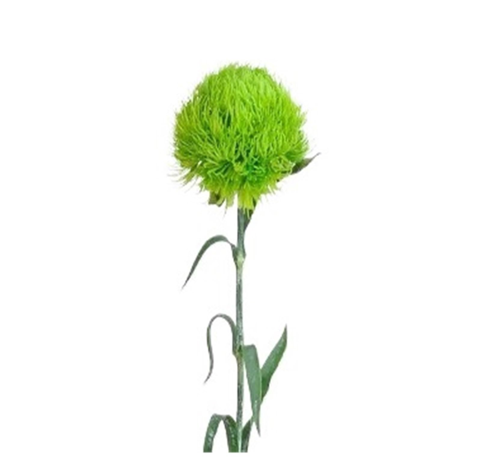 Casetlong 5pcs Artificial Diy Bouquet Wedding Decor Party Home Flowers Arrangement(Light green)