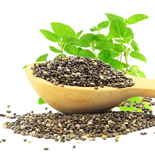 GETSO Seeds Package Not Plants: 4000 : ORGANIC CHIA 1000-6000 Seed S From USA! Gardening Sprouting Microgreens