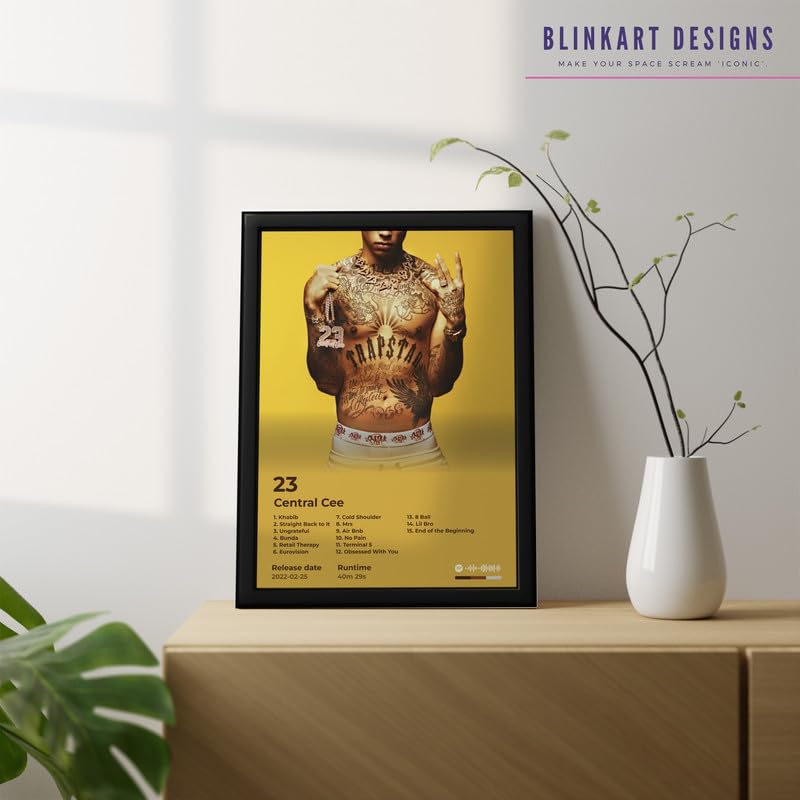 Image of BLINKART Central CEE- 23 Wall Photo Frames | Wall Art for Bedroom, Living Room, Studio or Office | Album Cover Print with Spotify Song Link QR Code | Gift for Fans - 8x12 In