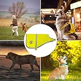 Pet Hunde Warnwesten,Hund Sicherheit Reflektierende Weste,Sicherheitsweste Pet Hunde,Hunde Sicherheit Geschirr Jacke für Hält den Hund Sichtbar Sicher vor Autos & Jagtunfällen
