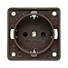 Price comparison product image Berker Integro Socket Schuko Brown Matt Loose
