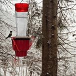 Hummingbird Feeder Heater, Heated Hummingbird Feeders for Outdoor, Bird Feeder Heater Attaches to Bottom Feed Hummingbirds in Freezing Weather Winter Outdoor Garden (Feeder NOT Included) (1)