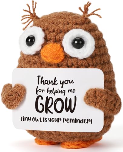 Hweijm Crochet Owl Desk Decor Christmas Stocking Stuffers for Teacher Mentor Coworker Appreciation End of Year Retirement School Office Positive Support Inspirational Desktop Gadget