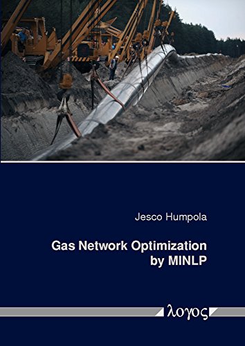 Gas Network Optimization by Minlp view 2
