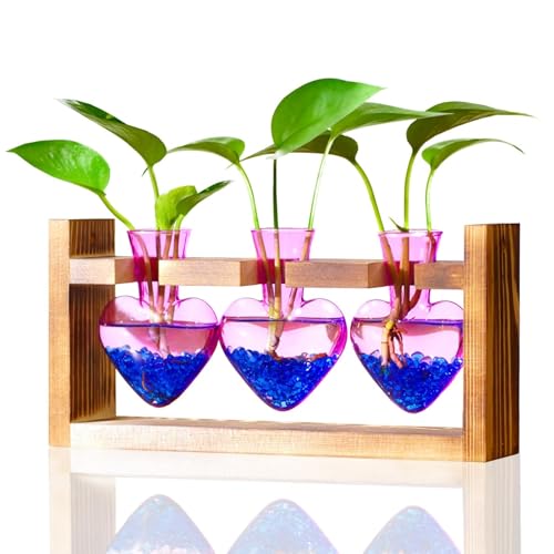 Nacome Plant Terrarium Propagation Stations: Birthday Gifts for Plant Lovers Women Mom Wife - Wooden Stand Tabletop Planter 3 Bulb Glass Vase Heart Shaped for Hydroponics Indoor Home(Purple)