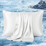 PlushHavenCloud Pillowcases for Hair and Skin, Similar to Silk Pillow Cases Satin Pillowcase, Cooling Pillowcases with Zipper, Pillow Cover Gift for Women Mom Men (White, Queen 20''×30'', 1 Pack)