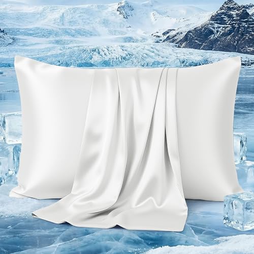 PlushHavenCloud Pillowcases for Hair and Skin, Similar to Silk Pillow Cases Satin Pillowcase, Cooling Pillowcases with Zipper, Pillow Cover Gift for Women Mom Men (White, Queen 20''×30'', 1 Pack)