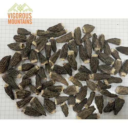 Vigorous Mountains Dried Morel Mushrooms thumb #3