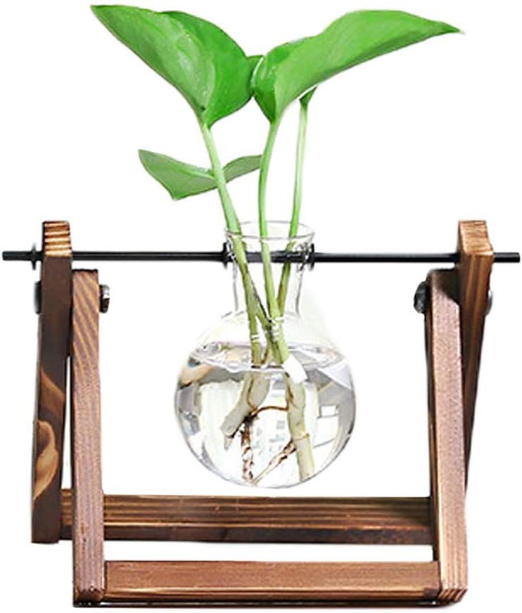 Plant Terrarium Wooden Stand, Desktop Glass Planter Bulb Vase with Retro Solid Wooden Stand and Metal Swivel Holder for Hydroponics…