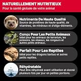 Rapto Feast grillons séchés extra petits en 250 g pour reptiles photo 3