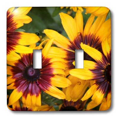Interruptor doble de girasoles placa decorativa rústica 3dRose 3