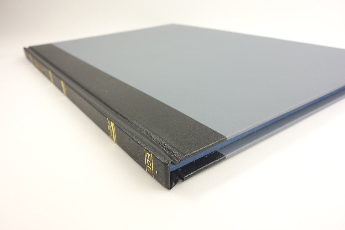 Kokuyo Pejichi B5 100-110 - Libro de contabilidad (importado de Japón)