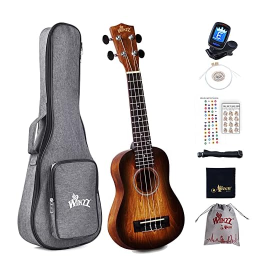 Winzz Ukelele Soprano Principiante para Niños Adulto con 8 Accesorios, Diseño de Color Único - 21 Pulgadas Marrón