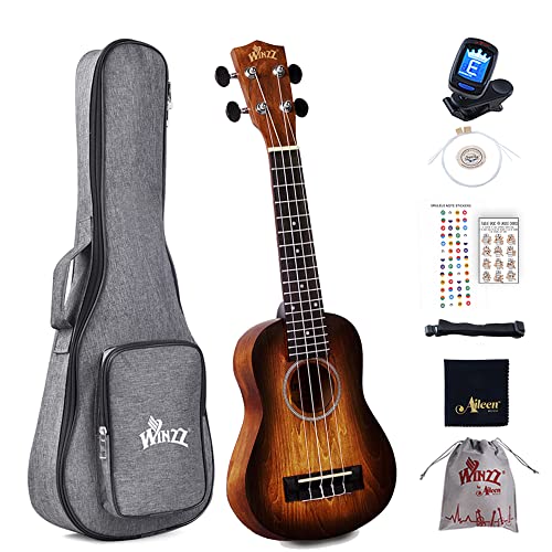 Winzz Ukelele Soprano Principiante para Niños Adulto con 8 Accesorios, Diseño de Color Único - 21 Pulgadas Marrón