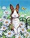 Produktbild WOWDECOR DIY Malen nach Zahlen für Erwachsene Kinder Mädchen, Schön Hase Weiß Daisy Schmetterling 40x50cm Vorgedruckt Leinwand-Ölgemälde (ohne Rahmen)