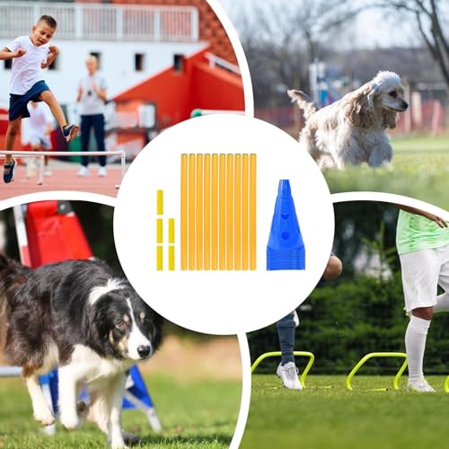 Équipement d'agilité pliable pour l'endurance et la coordination des chiens