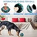 Yipetor Frozen Treat Dispensing Dog Toy - Large Chew Toy, Freezable Fillable Rubber, Reduces Anxiety, Easy to Clean, Interactive Puzzle (Medium)