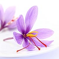 Vista 3 de Azafran Spanish Azafran Carmencita Powder Saffron 0.014 OZ.