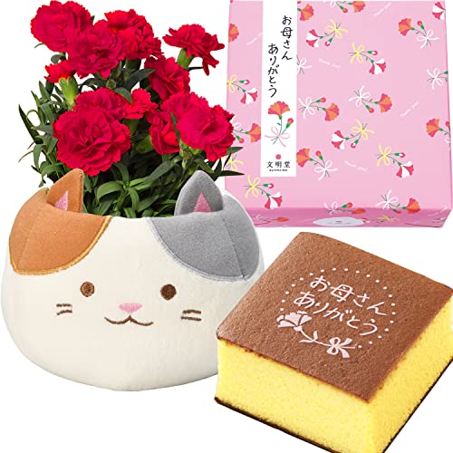 花のギフト社 母の日 カーネーション 鉢花 花鉢 鉢植え 文明堂 カステラ フラワーギフト 三毛猫